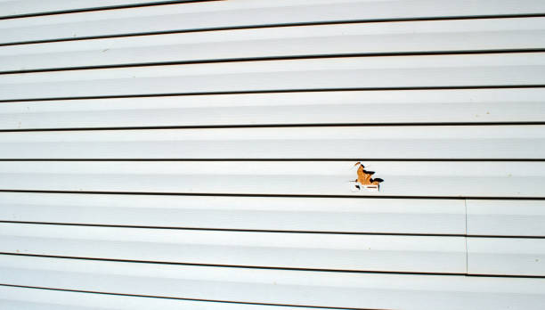 Best Custom Trim and Detailing for Siding  in Kiln, MS